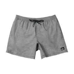 Bañadores Quiksilver Everyday Deluxe Volley 15