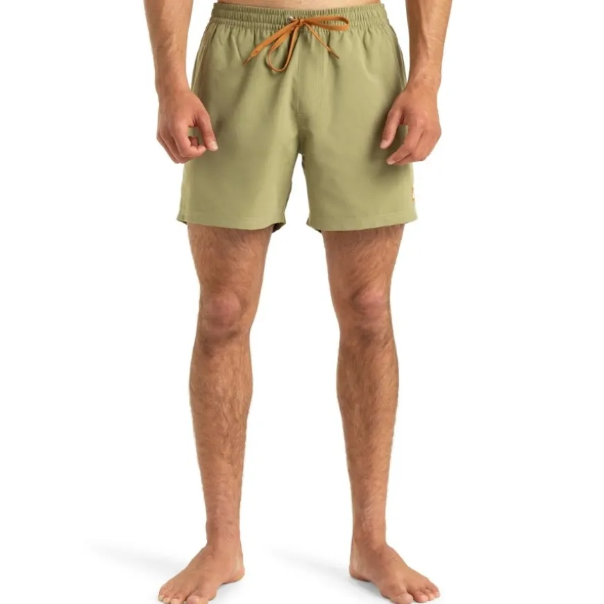 Bañadores Quiksilver Everyday Solid Volley 15