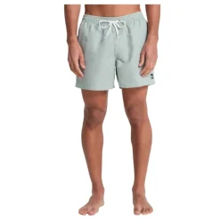 Bañadores Quiksilver Everyday Deluxe Volley 15