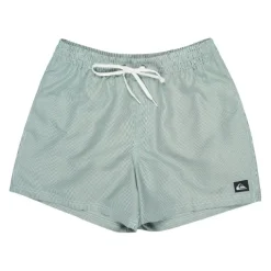 Bañadores Quiksilver Everyday Deluxe Volley 15