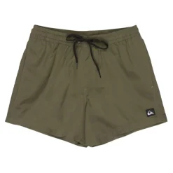 Bañadores Quiksilver Everyday Volley 15