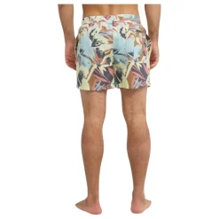 Bañadores Quiksilver Everyday Printed Volley 15