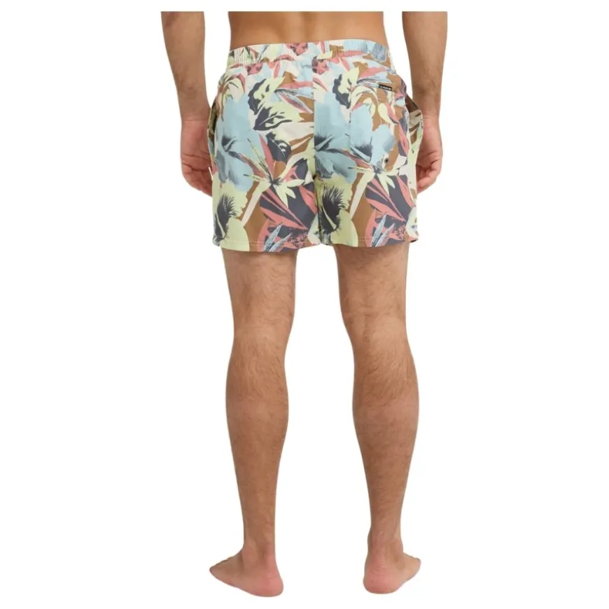 Bañadores Quiksilver Everyday Printed Volley 15