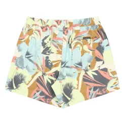 Bañadores Quiksilver Everyday Printed Volley 15