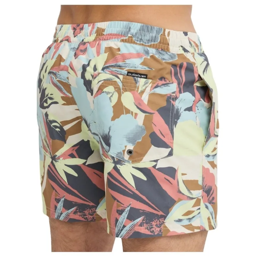 Bañadores Quiksilver Everyday Printed Volley 15