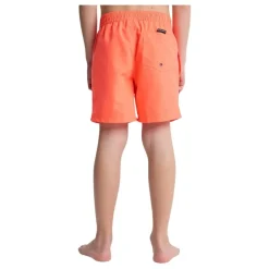 Bañadores Quiksilver Everyday Volley Yth 14