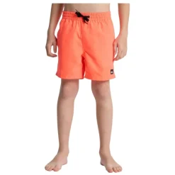 Bañadores Quiksilver Everyday Volley Yth 14