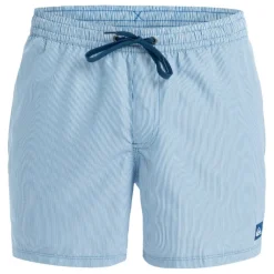Bañadores Quiksilver Everyday Deluxe Volley 15