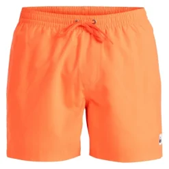 Bañadores Quiksilver Everyday Solid Volley 15