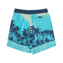 Bañadores Quiksilver Everyday Printed Volley Yth 14