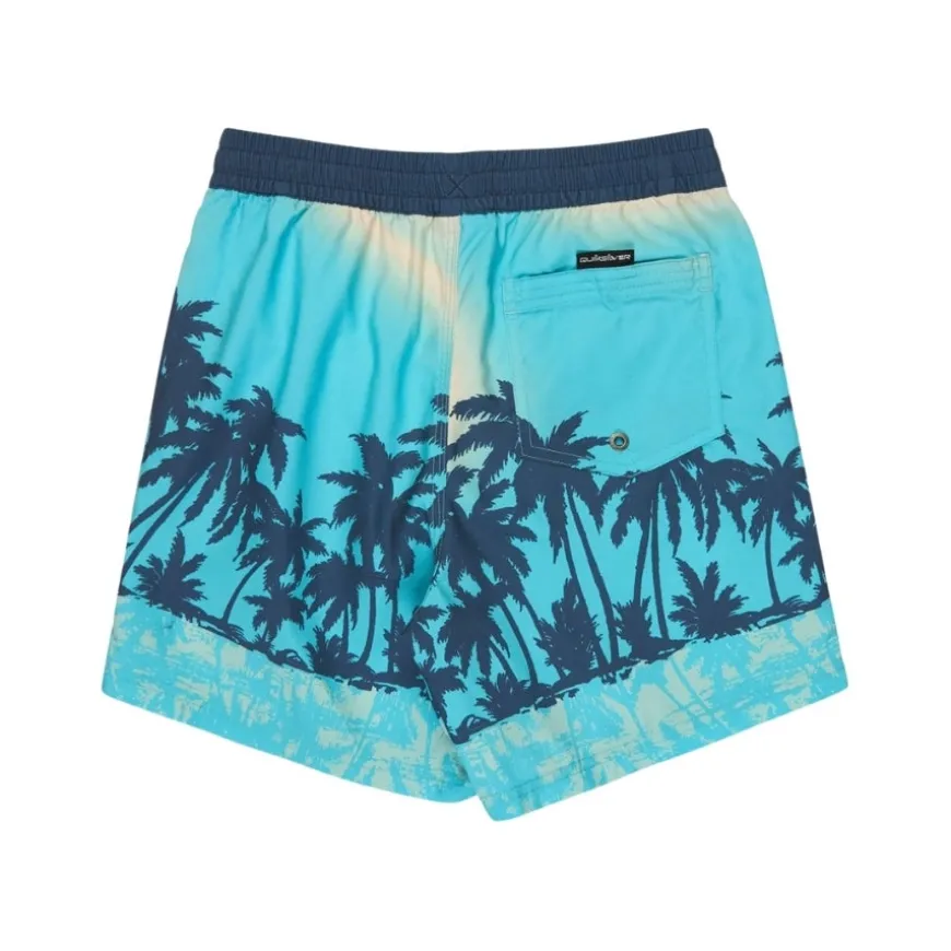 Bañadores Quiksilver Everyday Printed Volley Yth 14