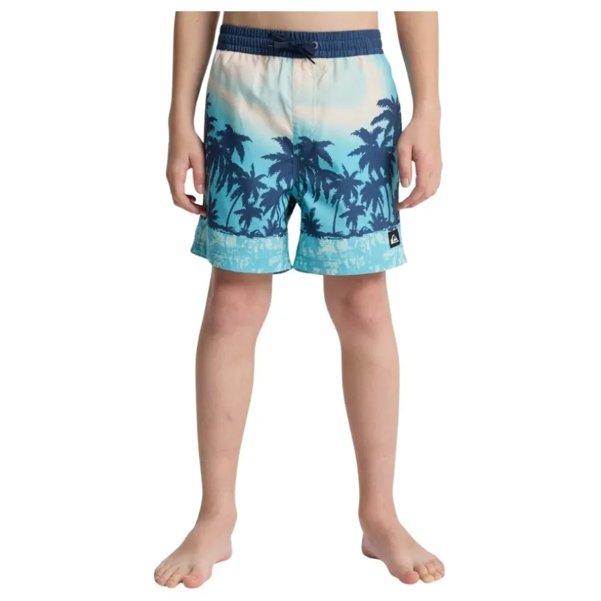 Bañadores Quiksilver Everyday Printed Volley Yth 14