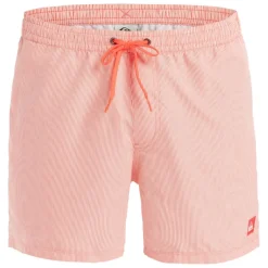Bañadores Quiksilver Everyday Deluxe Volley 15