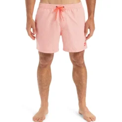 Bañadores Quiksilver Everyday Deluxe Volley 15