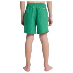 Bañadores Quiksilver Everyday Volley Yth 14