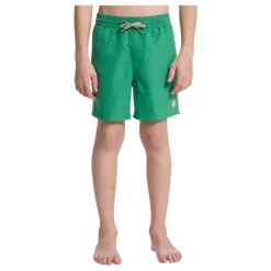 Bañadores Quiksilver Everyday Volley Yth 14