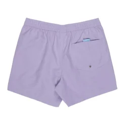 Bañadores Quiksilver Everyday Volley 15