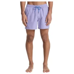 Bañadores Quiksilver Everyday Volley 15