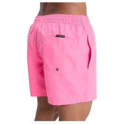 Bañadores Quiksilver Everyday Volley 15