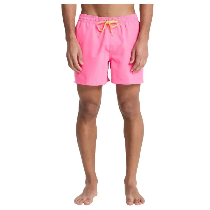 Bañadores Quiksilver Everyday Volley 15
