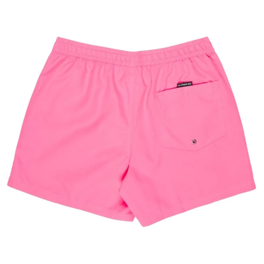 Bañadores Quiksilver Everyday Volley 15