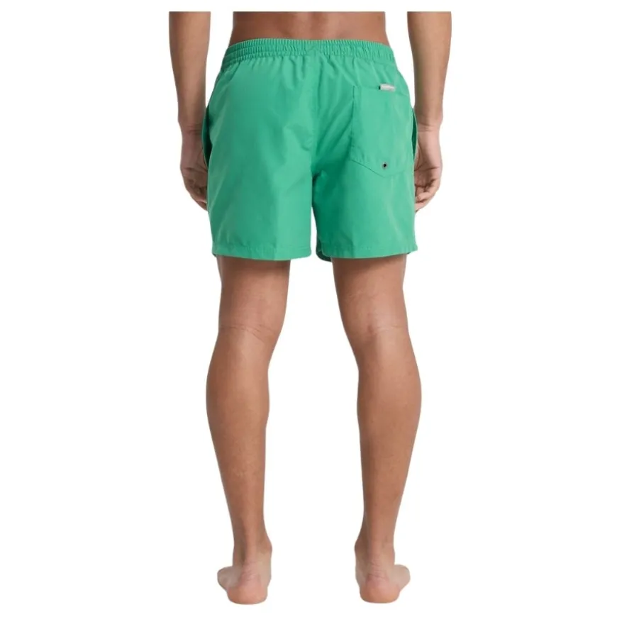 Bañadores Quiksilver Everyday Volley 15