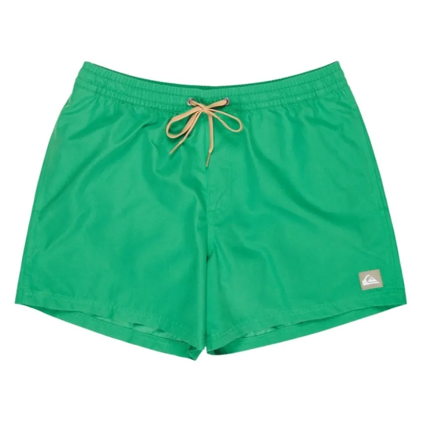 Bañadores Quiksilver Everyday Volley 15
