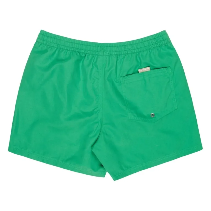 Bañadores Quiksilver Everyday Volley 15