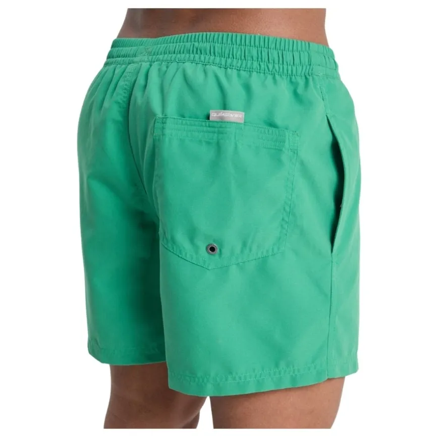 Bañadores Quiksilver Everyday Volley 15