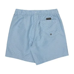 Bañadores Quiksilver Everyday Deluxe Volley Yth 14