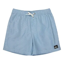 Bañadores Quiksilver Everyday Deluxe Volley Yth 14
