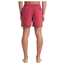 Bañadores Quiksilver Everyday Volley 15