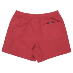 Bañadores Quiksilver Everyday Volley 15