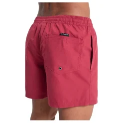 Bañadores Quiksilver Everyday Volley 15