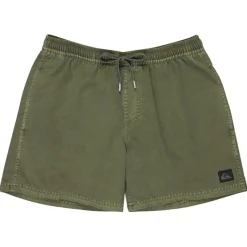 Bañadores Quiksilver Everyday Surfwash Volley 15
