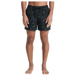 Bañadores Quiksilver Everyday Printed Volley 15
