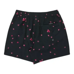 Bañadores Quiksilver Everyday Printed Volley 15