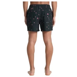 Bañadores Quiksilver Everyday Printed Volley 15