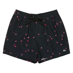 Bañadores Quiksilver Everyday Printed Volley 15