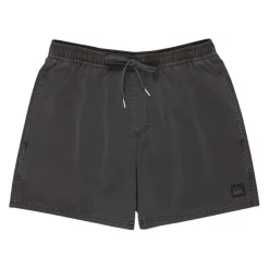 Bañadores Quiksilver Everyday Surfwash Volley 15
