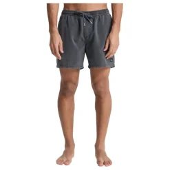 Bañadores Quiksilver Everyday Surfwash Volley 15