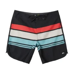 Bañadores Quiksilver Everyday Stripe 19