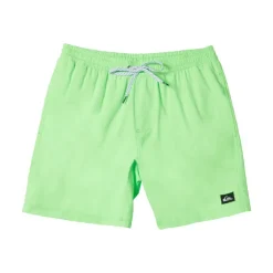 Bañadores Quiksilver Everyday Solid Volley 15