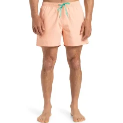 Bañadores Quiksilver Everyday Solid Volley 15