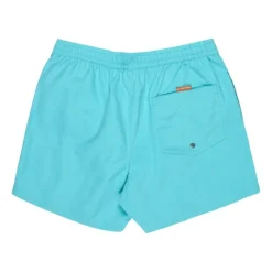 Bañadores Quiksilver Everyday Volley 15