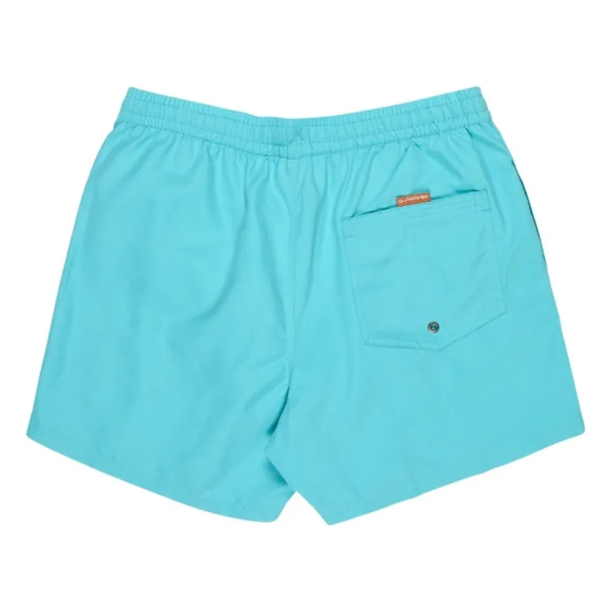 Bañadores Quiksilver Everyday Volley 15