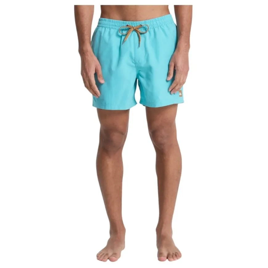 Bañadores Quiksilver Everyday Volley 15