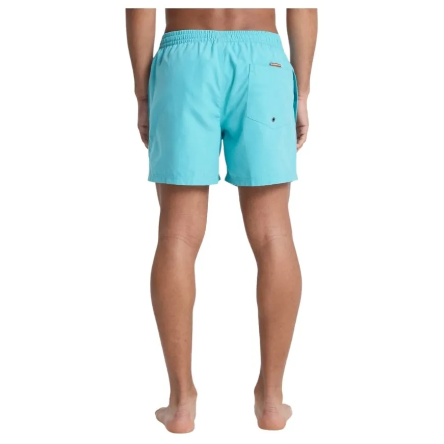 Bañadores Quiksilver Everyday Volley 15