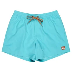 Bañadores Quiksilver Everyday Volley 15