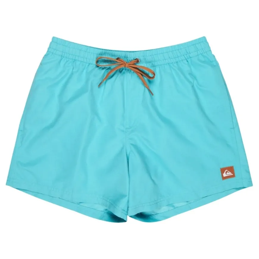 Bañadores Quiksilver Everyday Volley 15